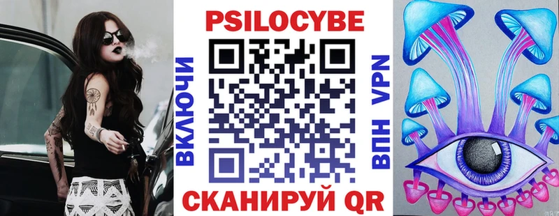 закладка  Приморск  Галлюциногенные грибы Cubensis 